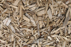 biomass boilers Trevia